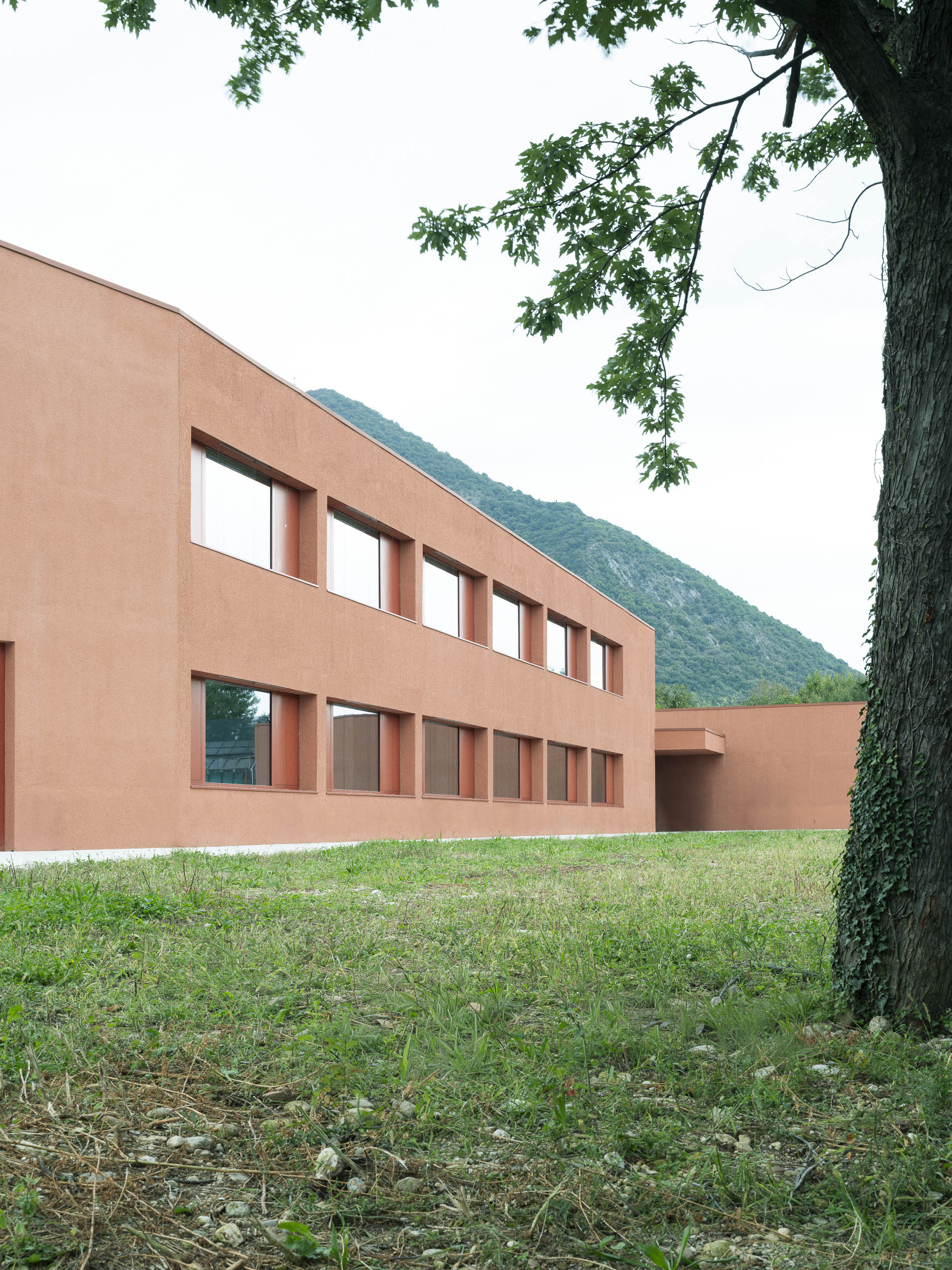 Parolini